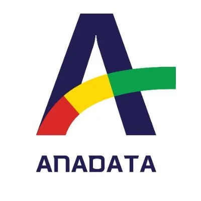 Ana Data Consulting logo