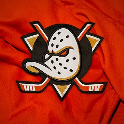 Anaheim Team Store logo