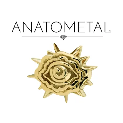 anatometal.com logo