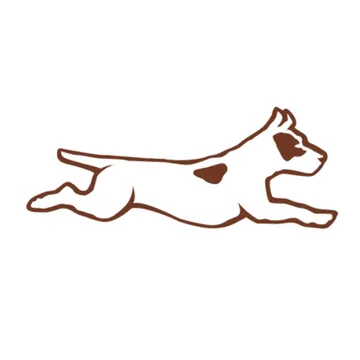 AnatomicShoes Logo