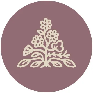 Anchal Project Official Website