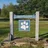 Androscoggin Animal Hospital logo