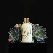 Angelpaste Logo