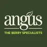 Logo Angus Soft Fruits - fruithandelaar