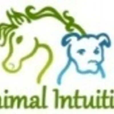 Animal Intuition