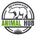 Animal Hub logo/icon
