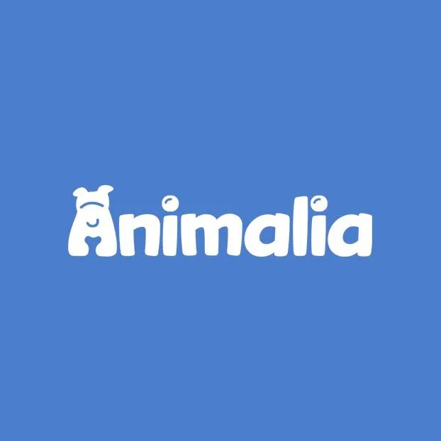 Animalia