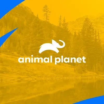 Animal Planet logo