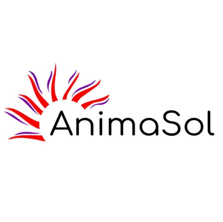 AnimaSol logo