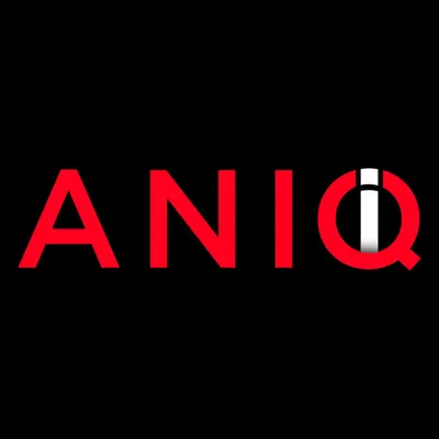 aniqi.com logo