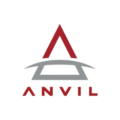 ANVIL Systems Group Incorporated logo