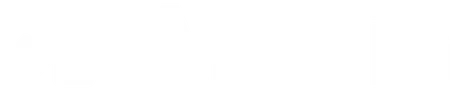 Anyfin light logo