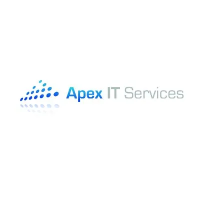 APEX IT Services logo