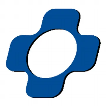 APi National Service Group Logo
