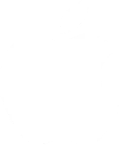 Apple light logo