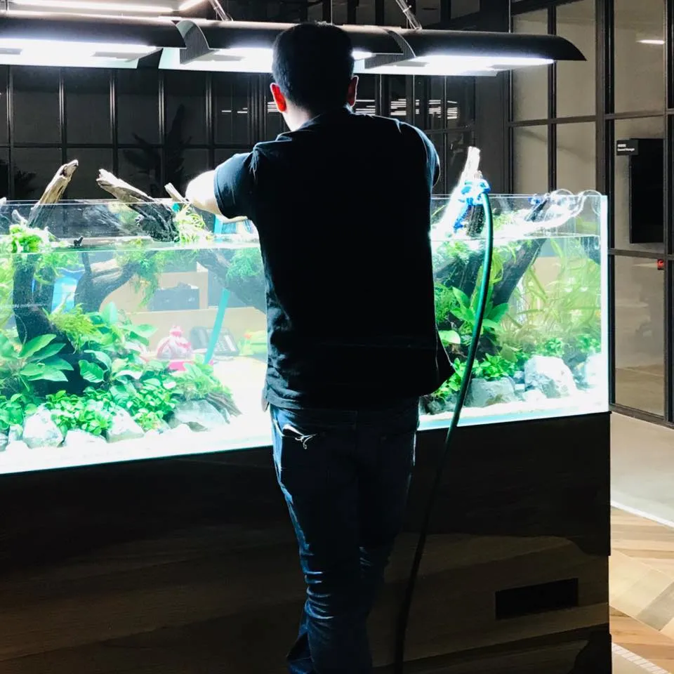 Aqua Forest Aquarium