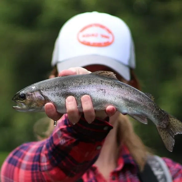 Aquazfishing
