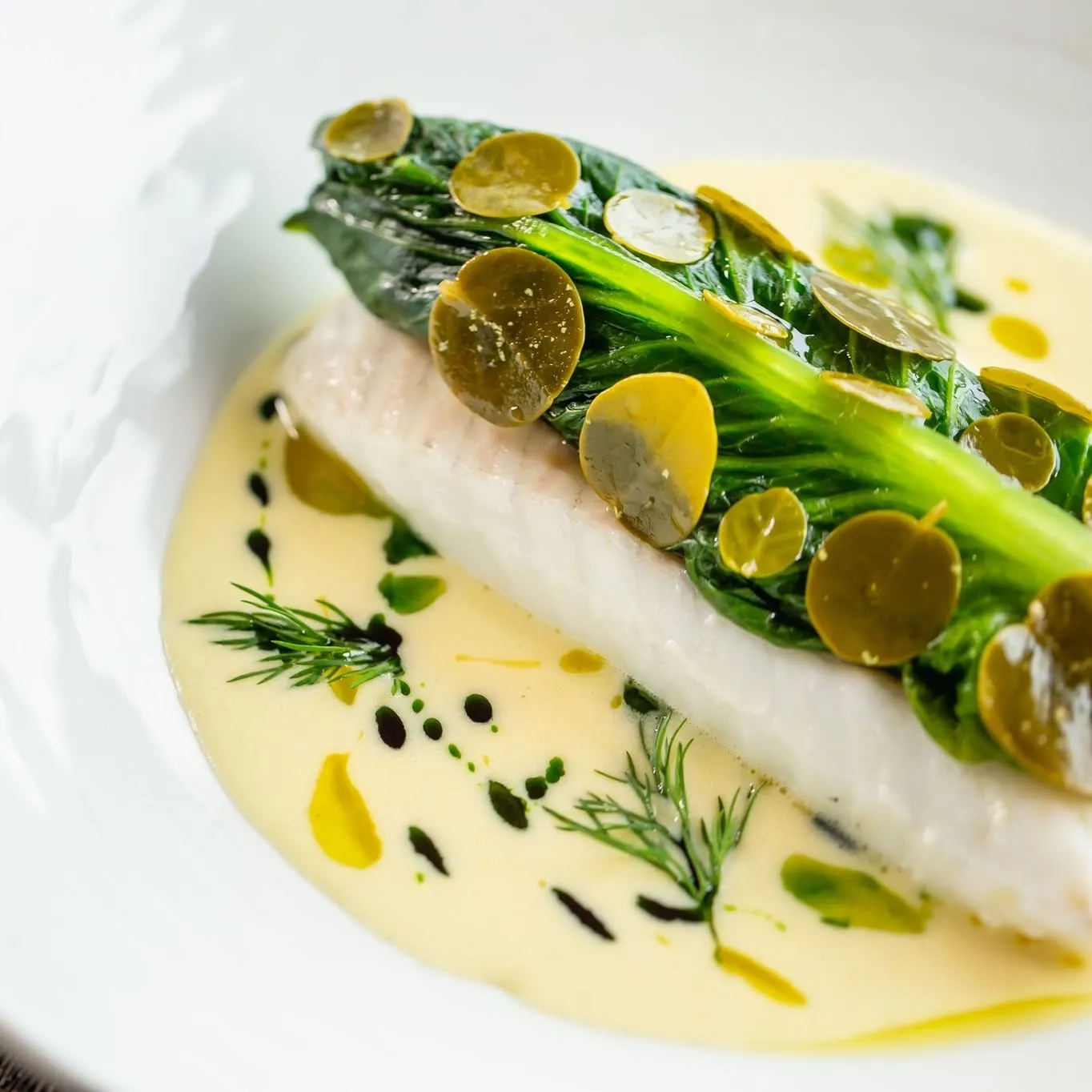 Murray Cod Australia Ltd logo