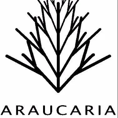 Araucaria