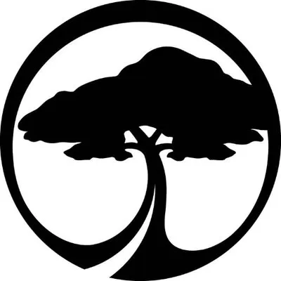 Arbor Skateboards