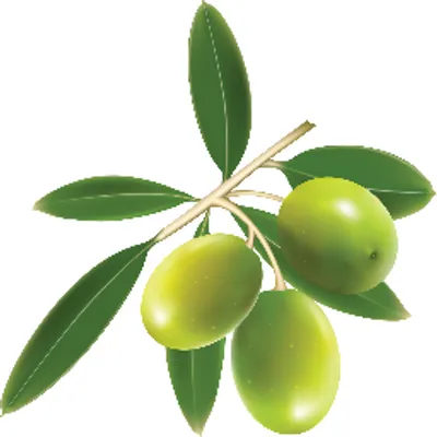 Ariadne Pure
