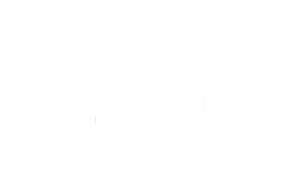 ARK Of Sweden light logo