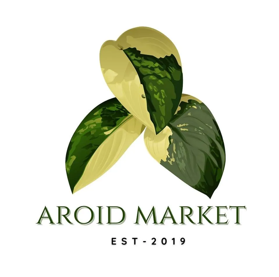 Aroidmarket