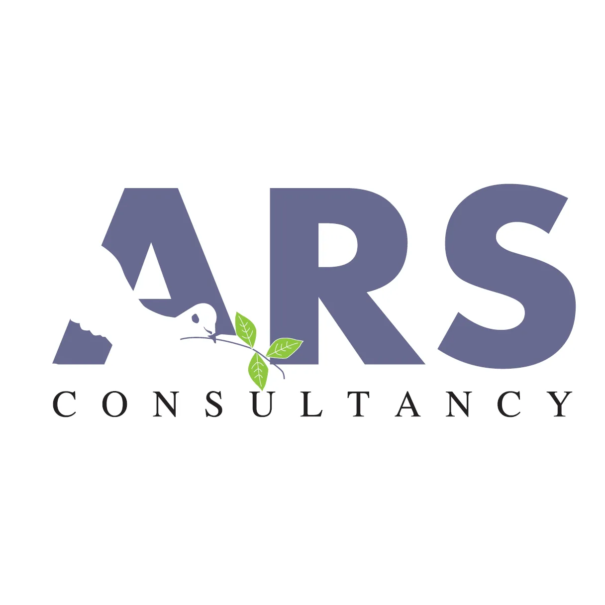 ARS Consultancy Ltd logo