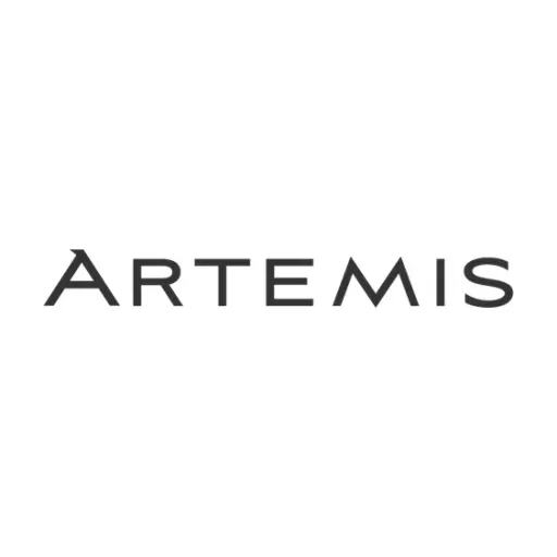 Artemis Capital Partners IV, L.P. logo