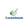 Ascenteum logo