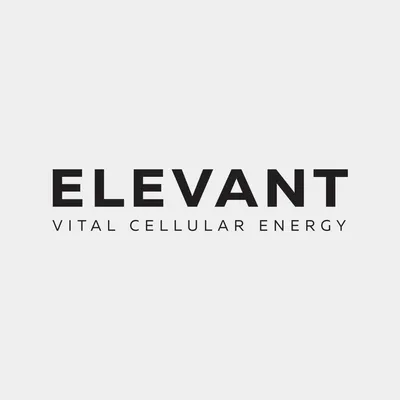 Elevant Asia logo