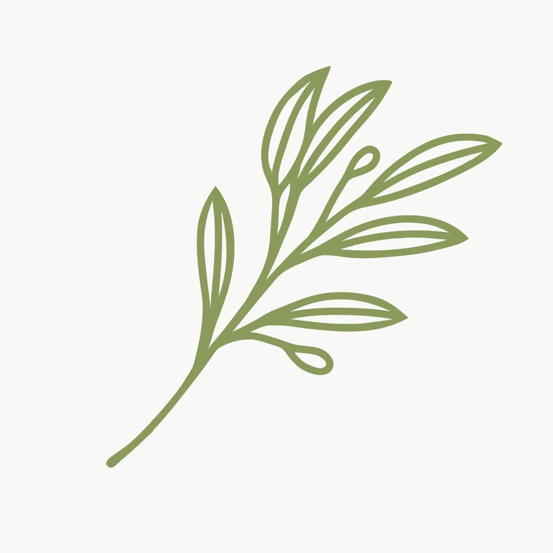 Attachmentsandsage