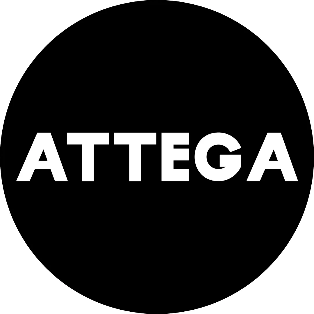 Attega Group Ltd logo
