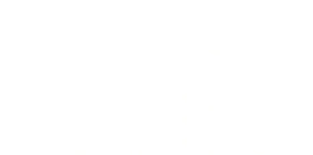 Puma light logo