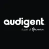 audigent.com