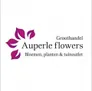 Logo John Auperlé Flowers