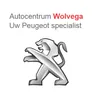Logo Auto