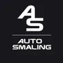 Logo Auto Smaling