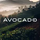 Avocado Green Mattress logo