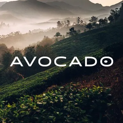 Avocado Green Mattress Official Website