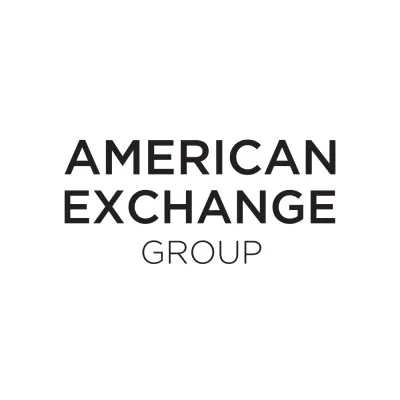 American Exchange Group logo