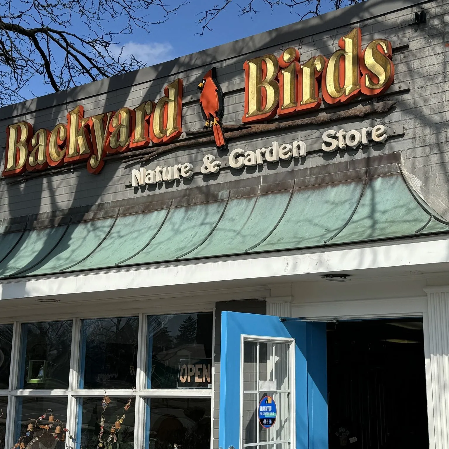 Backyard Birds
