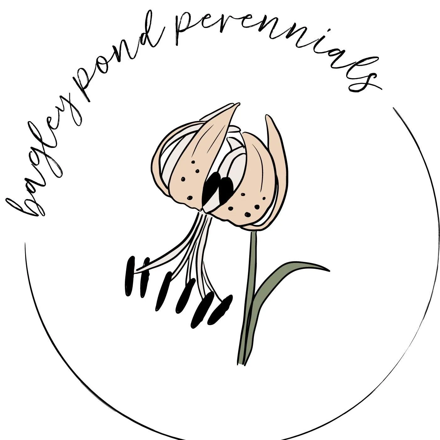 Bagleypondperennials