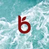balaveda.com logo