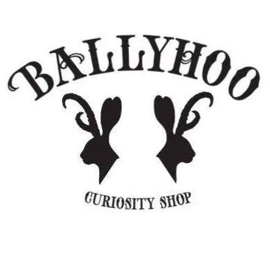Ballyhooseattle