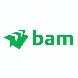 BAM Construct