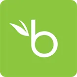 BambooHR logo/icon