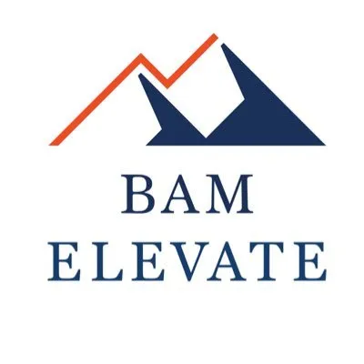 BAM Elevate logo