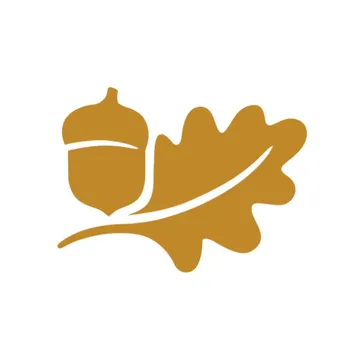 The Bank of Castile Logo
