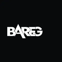 BAREG Recycling und Entsorgung GmbH & Co.KG